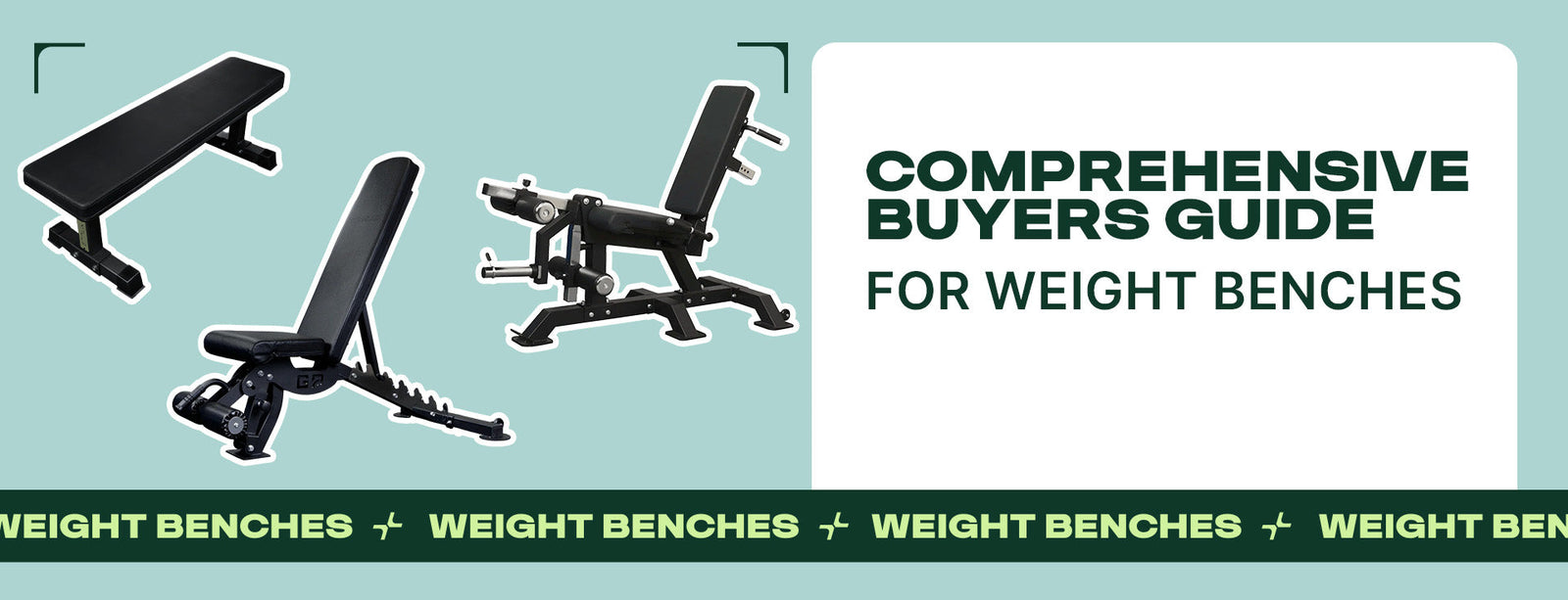 Comprehensive Buyers Guide for Weight Benches