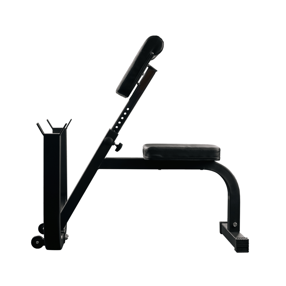 Preacher Curl Bench