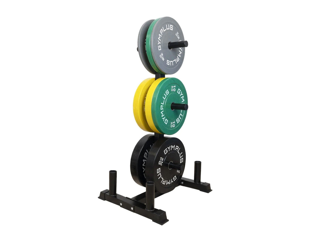 Olympic Weight Storage Rack & Bar Stand