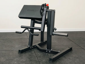 Preacher Arm Curl Biceps and Triceps