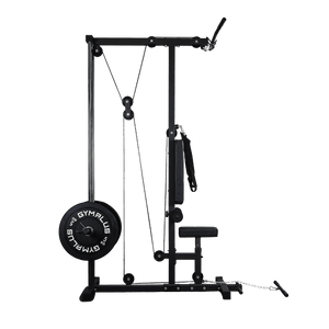Lat Pulldown and Row Cable Station