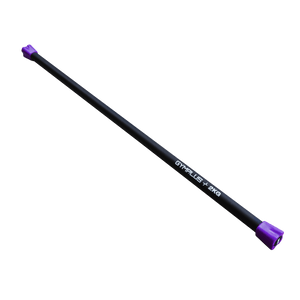Gym Plus Weighted Workout Bar (2/4/6/8/10/12kg) WEIGHTBAR-2KG