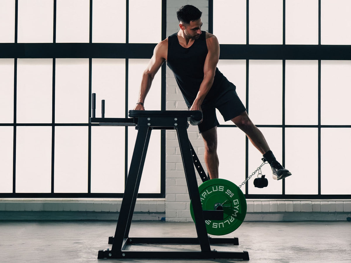 ATTIVO Reverse Hyperextension