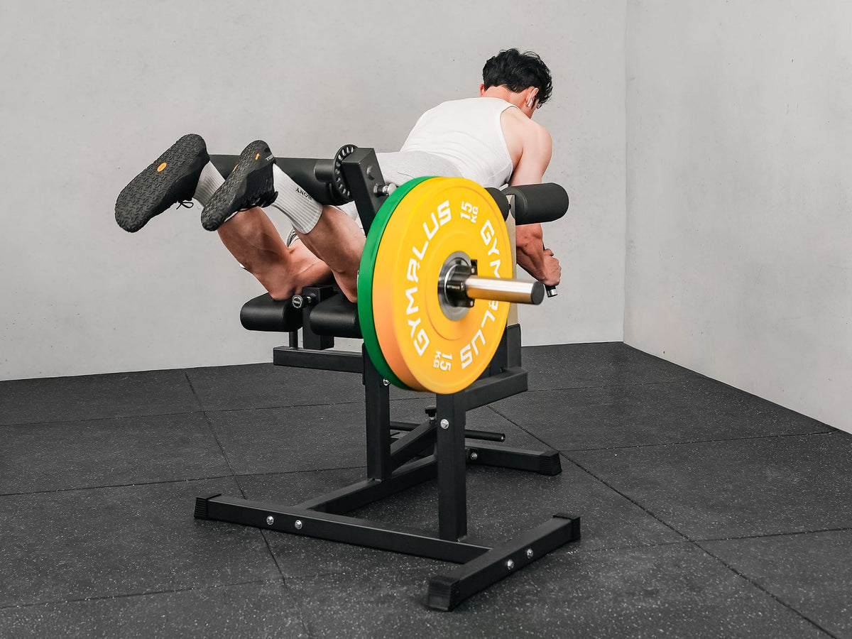 Leg Curl & Extension, Back Extension Machine V3.0
