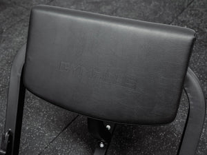 Preacher Curl Bench