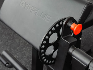 Preacher Arm Curl Biceps and Triceps