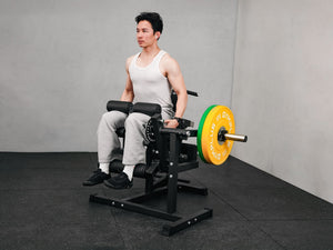 Leg Curl & Extension, Back Extension Machine V3.0
