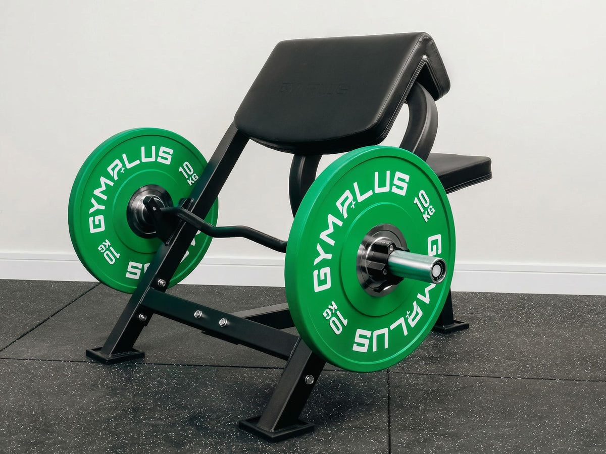 Preacher Curl Bench