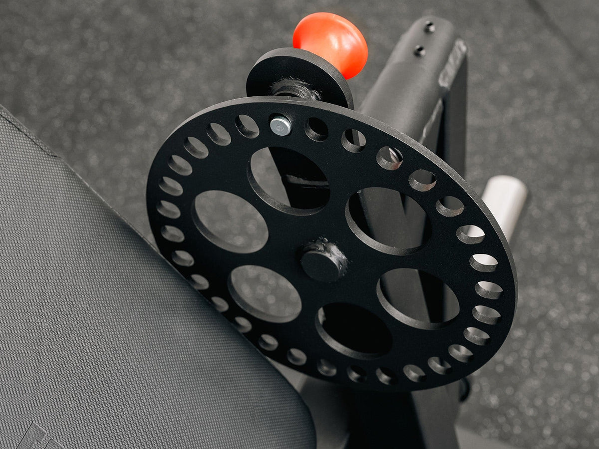 Preacher Arm Curl Biceps and Triceps