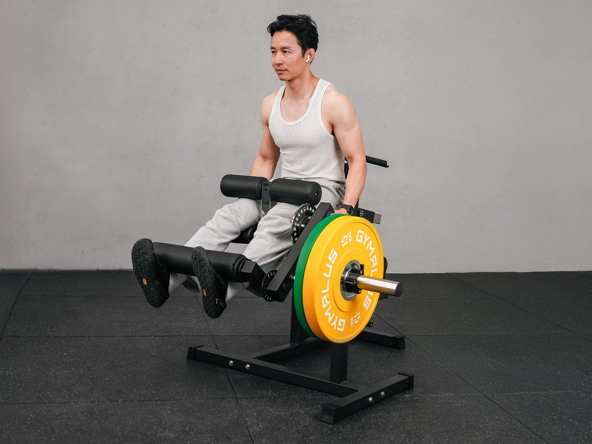 Leg Curl & Extension, Back Extension Machine V3.0