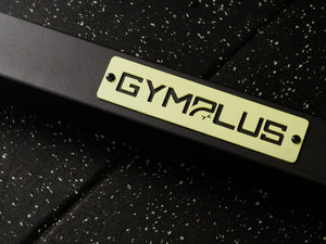 Wall Mount Cable Station with Dual Pulley System - Aluminium Pulley Wheels V2.0