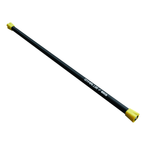 Gym Plus Weighted Workout Bar (2/4/6/8/10/12kg) WEIGHTBAR-6KG