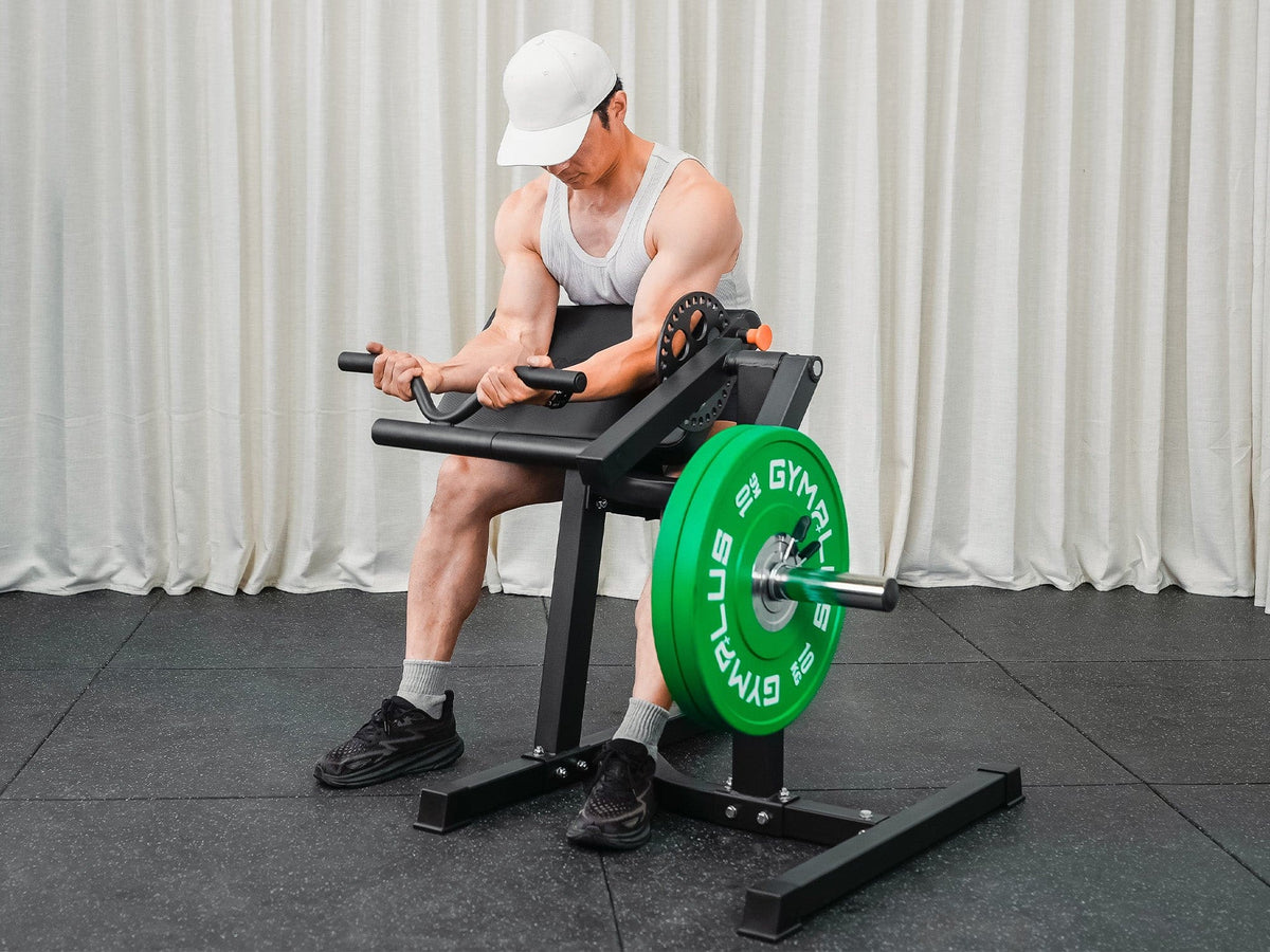 Preacher Arm Curl Biceps and Triceps