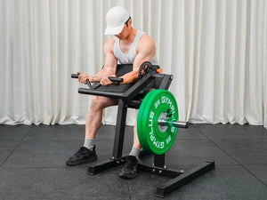 Preacher Arm Curl Biceps and Triceps