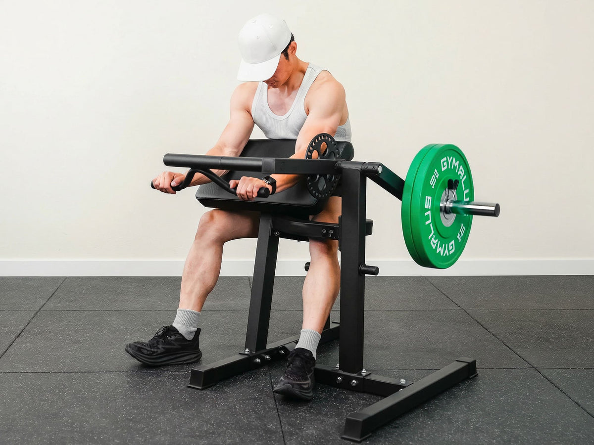 Preacher Arm Curl Biceps and Triceps