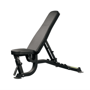 All-in-One Home Gym Lifting Starter Package - Bench, Rack, Barbell and Bumper Plates Set