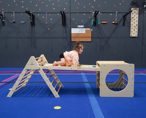 Rainbow Reversible Rock Climbing Ramp - Ramp Only