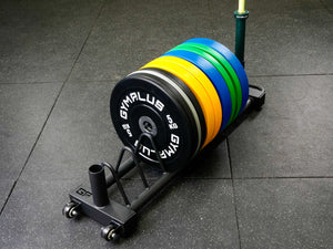 Weight Plate Rack and Barbell Stand