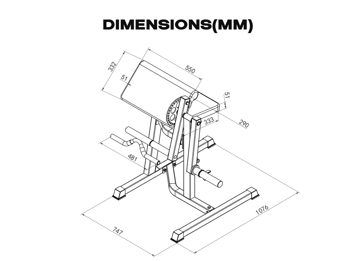Preacher Arm Curl Biceps and Triceps