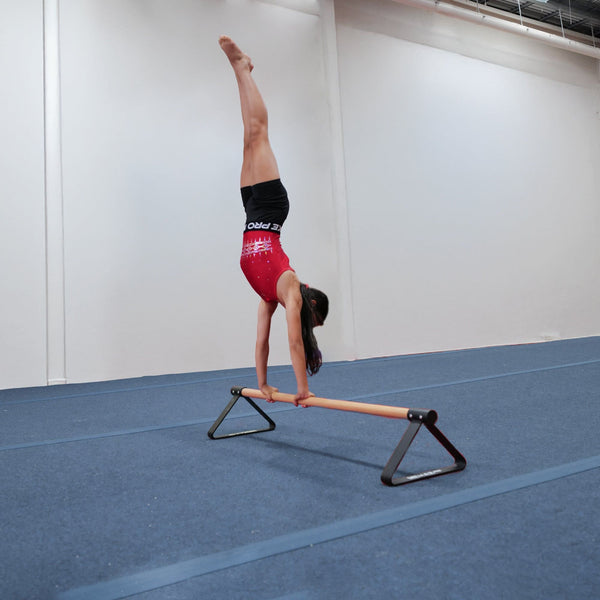 Gym Plus MEMAX Pro Pirouette Bar ATT012