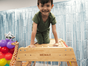 Indoor Gym Playground Climber Wooden Play Set