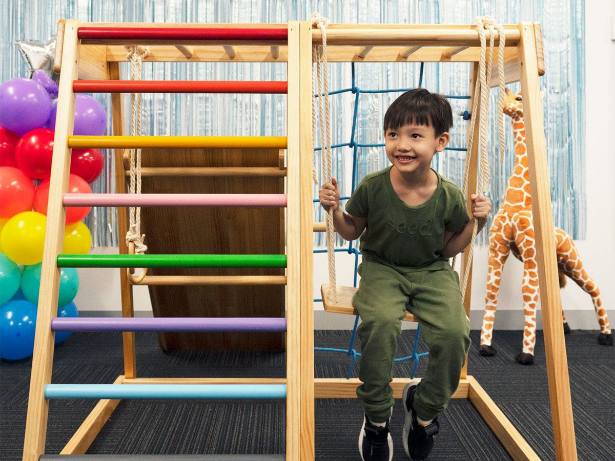 Indoor Gym Playground Climber Wooden Play Set