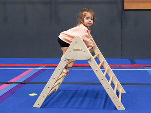 Large Pikler Foldable Climbing Triangle