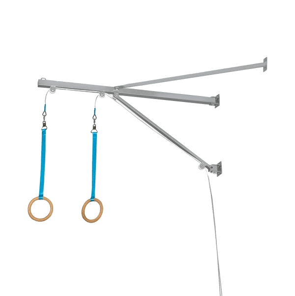 Gym Plus Wall Mount Rings Set - MEMAX Pro Series WMRING