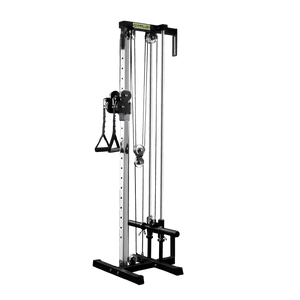 Wall Mount Cable Station with Dual Pulley System - Aluminium Pulley Wheels