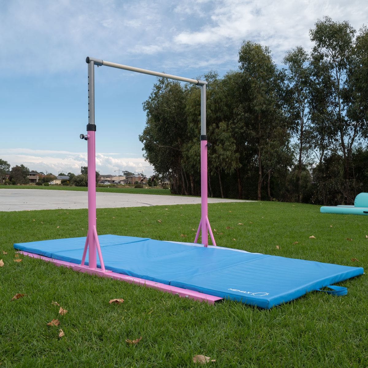 Value Combo Advanced Gymnastic Horizontal Bar Long Base Training Bar + Gym Mat (Pink)