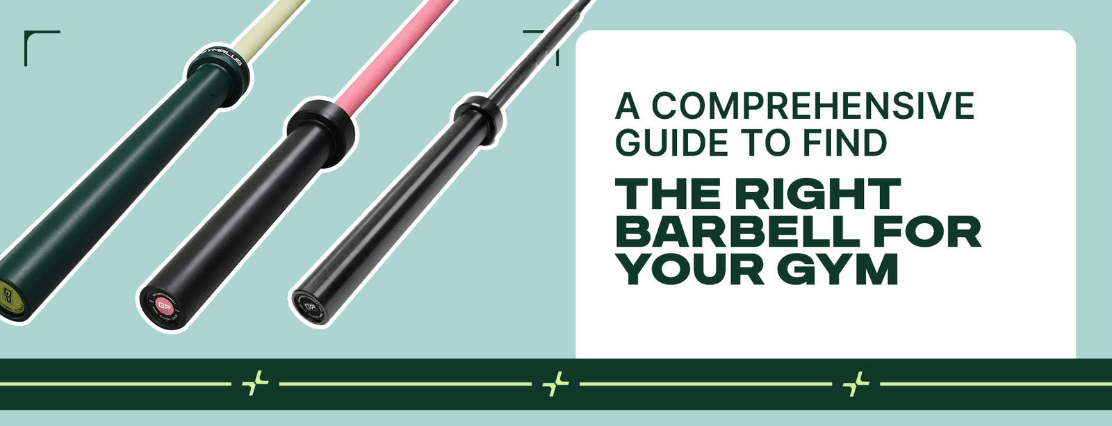 A Comprehensive Guide to Find the Right Barbell for Your Gym