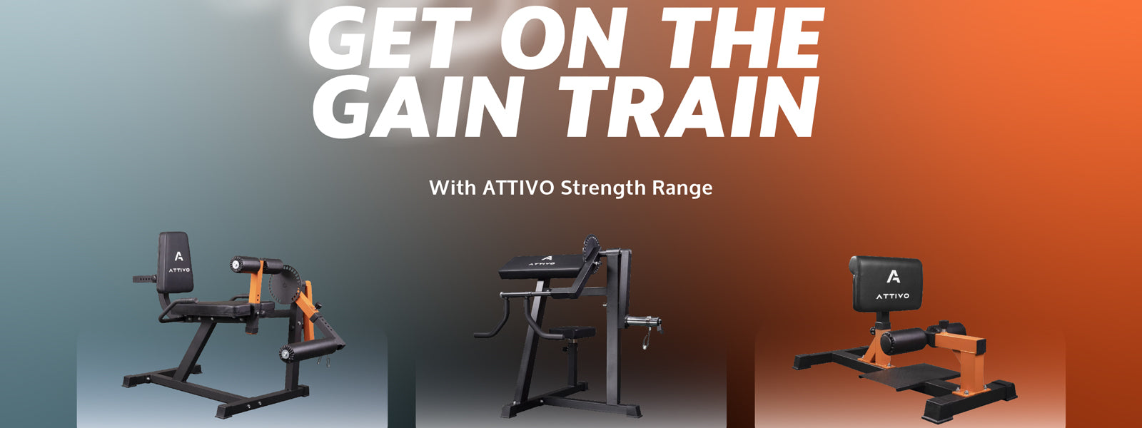 An Introduction to Strength Training Equipment
