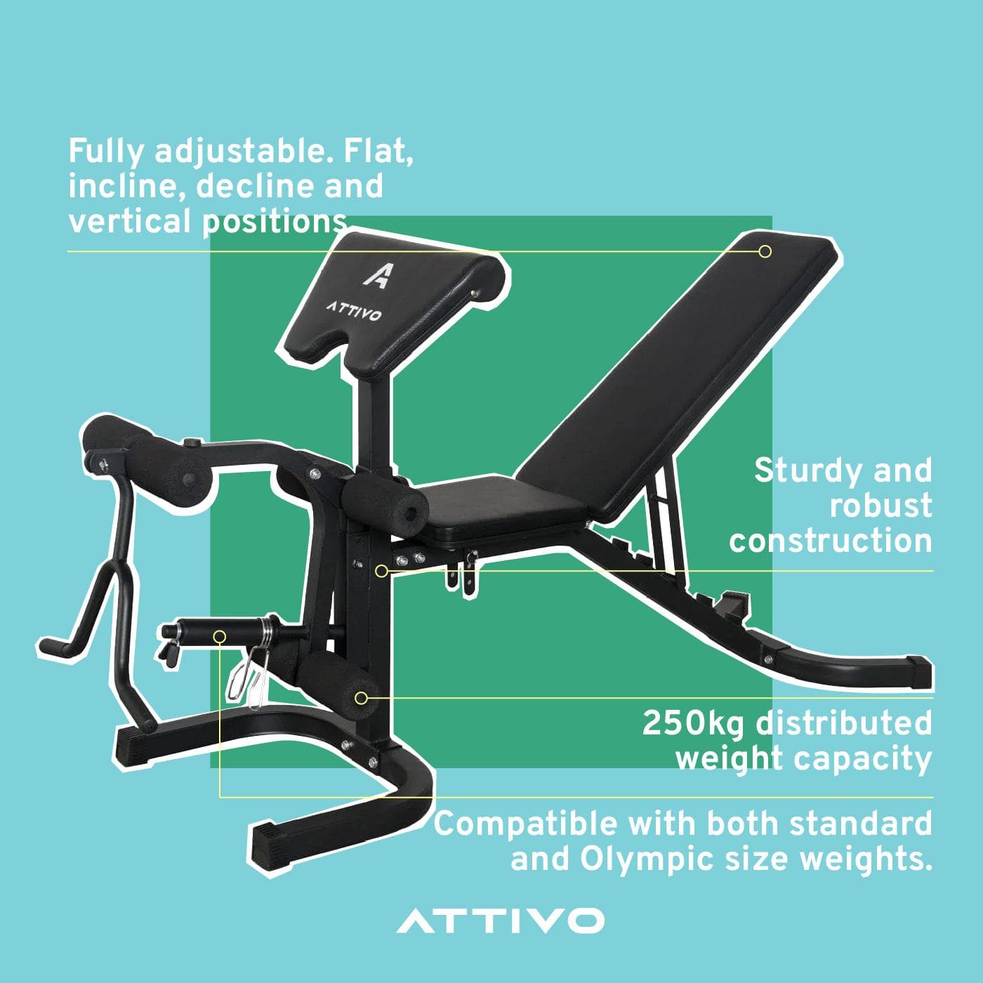 Adjustable Olympic Weight Bench with Preacher Curl Pad