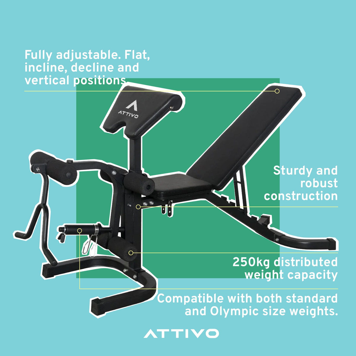 ATTIVO Adjustable Olympic Weight Bench with Preacher Curl Pad