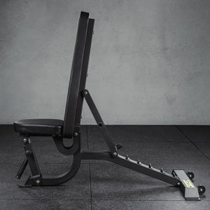 All-in-One Home Gym Lifting Starter Package - Bench, Rack, Barbell and Bumper Plates Set
