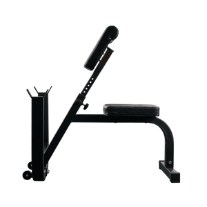 Preacher Curl Bench