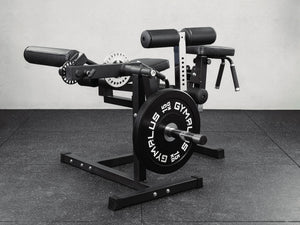 Leg Curl & Extension, Back Extension Machine