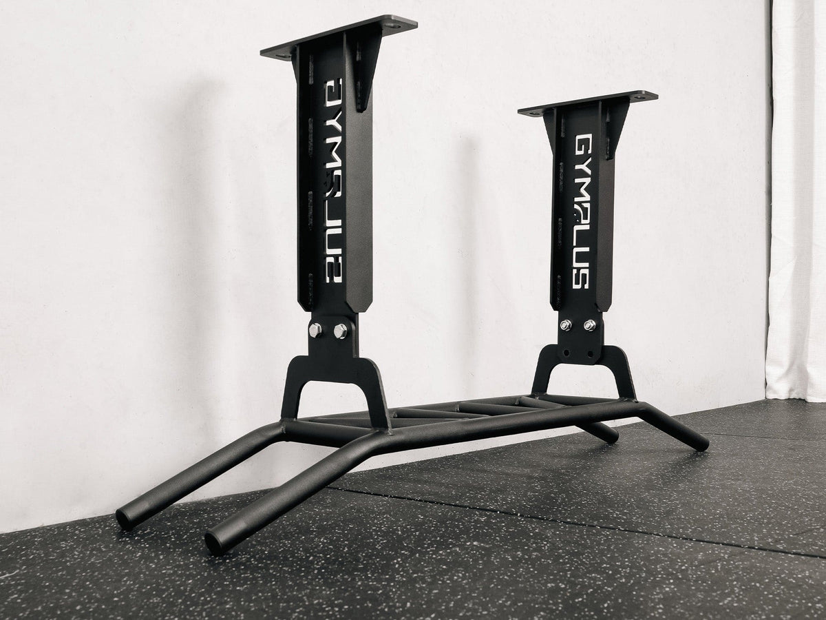 Wall/Ceiling Mount Pull Up Bar