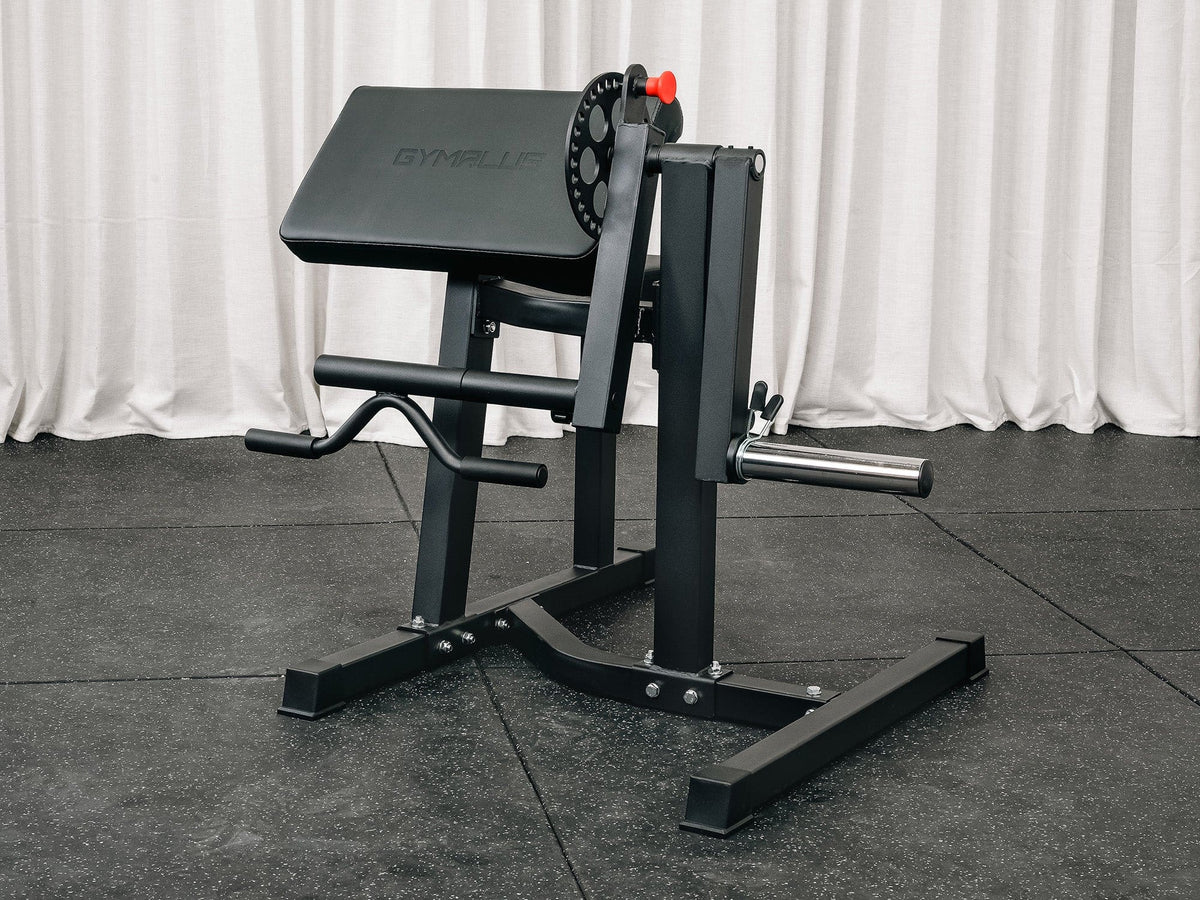 Preacher Arm Curl Biceps and Triceps