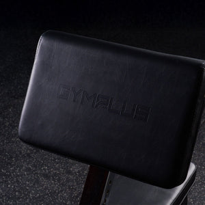 Preacher Curl Bench
