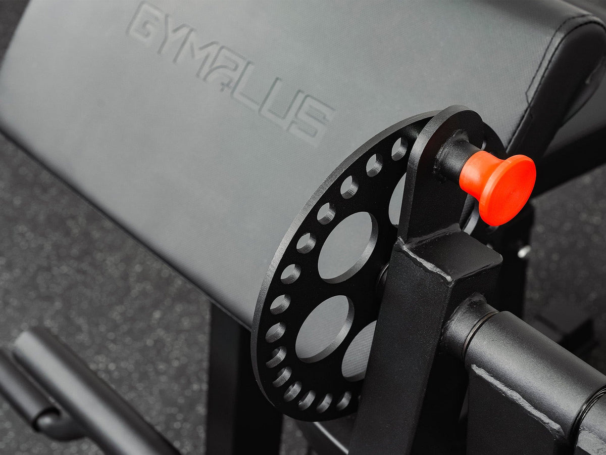 Preacher Arm Curl Biceps and Triceps