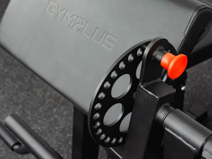 Preacher Arm Curl Biceps and Triceps