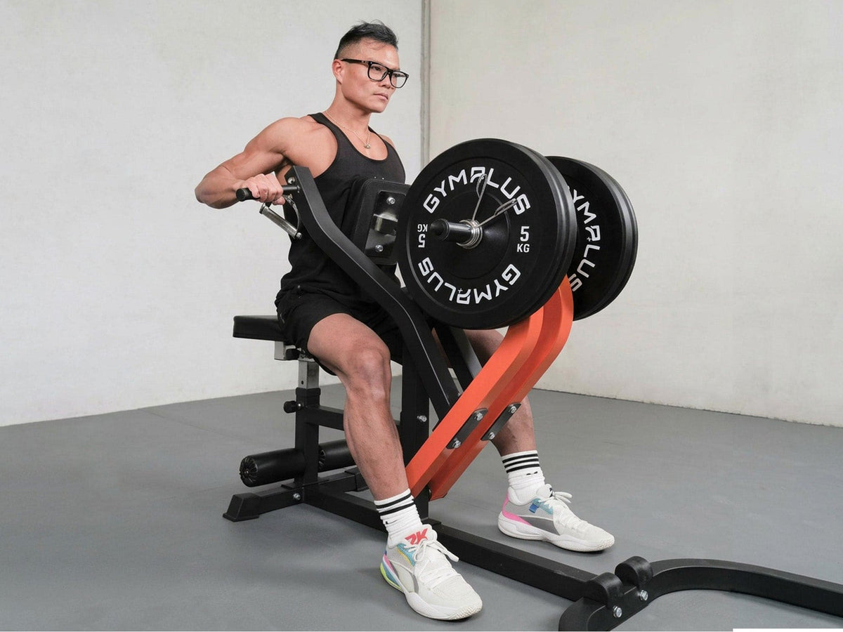 Seated Row/Chest Pull Machine with Independent Arms
