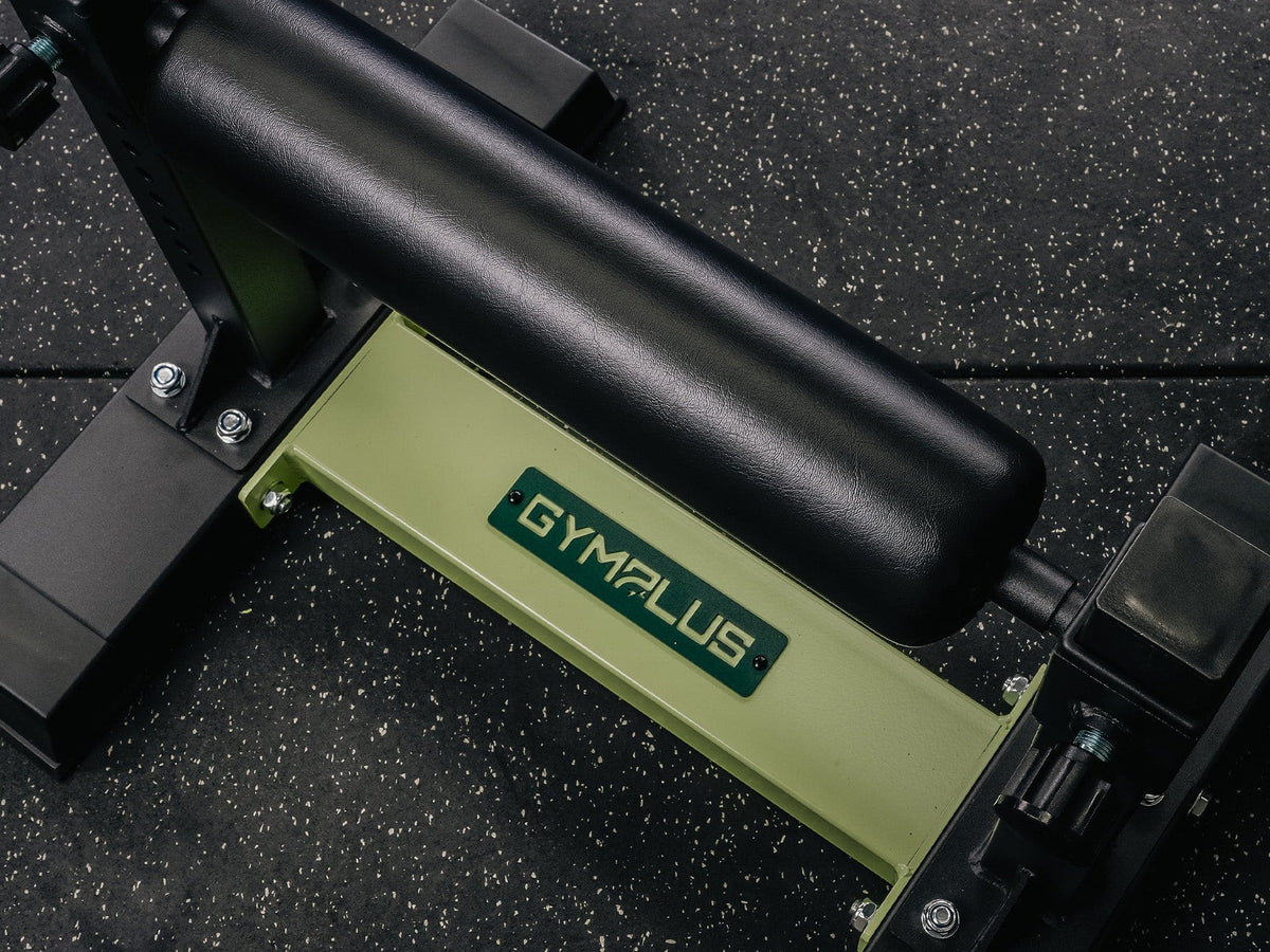 Single Leg Split Squat Stand