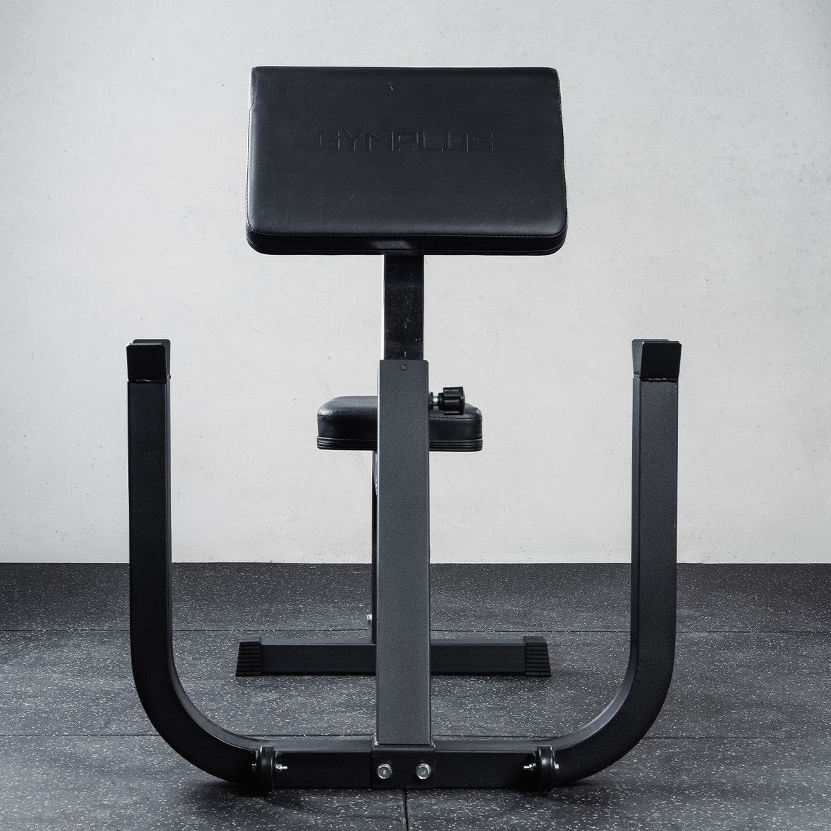 Preacher Curl Bench