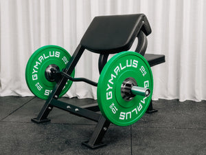 Preacher Curl Bench