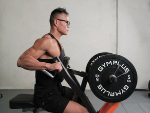 Seated Row/Chest Pull Machine with Independent Arms