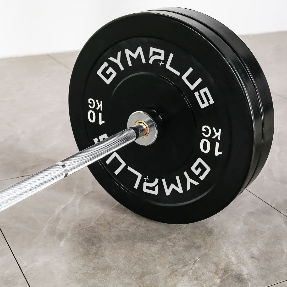 All-in-One Home Gym Lifting Package - Bench, Rack, Barbell and Bumper Plates Set