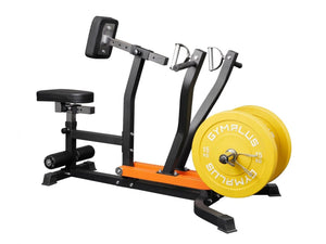 Seated Row/Chest Pull Machine with Independent Arms