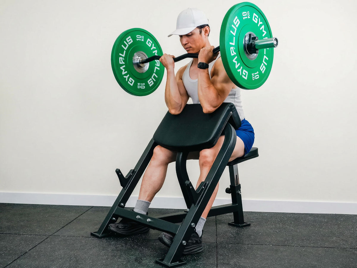 Preacher Curl Bench